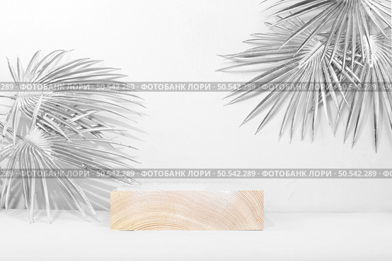 Abstract background with natural wooden podiums and silvery palm leaves, empty showcase for display or presentation of cosmetic products, stage with geometric shapes, minimal ecology concept, selective focus. Стоковое фото, фотограф Светлана Балынь / Фотобанк Лори