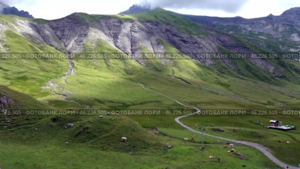Адельбоден. Вид на Альпы. Швейцария. Июль. Adelboden. View of the Alps. Switzerland. July. Стоковое видео, видеограф Горшков Александр / Фотобанк Лори