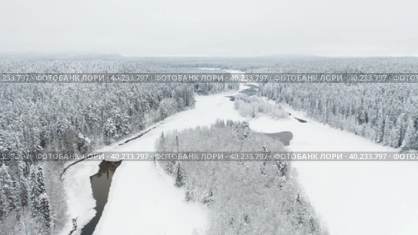Aerial  flight above Amazing Wild River In Frozen Forest. Really Snowy Winter On The North. Стоковое видео, видеограф Кирилл Трифонов / Фотобанк Лори