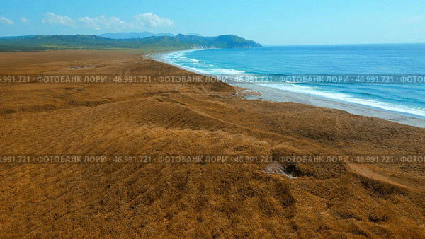 Aerial of autumn yellow grass and the blue sea coast. Стоковое фото, фотограф David Kashakhi / Фотобанк Лори