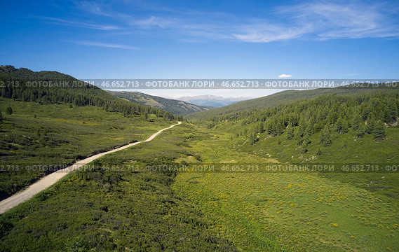 Aerial photo of Yazula mountain pass road in Altai. Valley of a mountain stream with Dasiphora fruticosa bushes. Стоковое фото, фотограф Сергей Пристяжнюк (Serg Zastavkin) / Фотобанк Лори