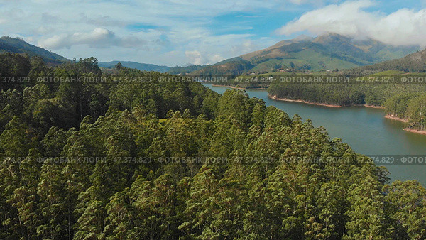 Aerial view beautiful nature with mountains and hills by Lake Mattupetty. Kerala State. Near the city of Munar. Стоковое фото, фотограф Mikhail Davidovich / Фотобанк Лори