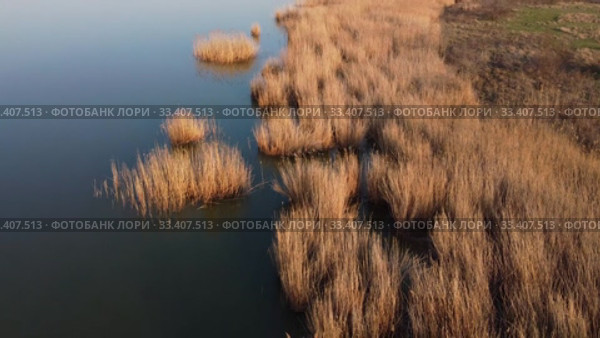Aerial view flying over coastline, above the reeds and water. Copter moving forwards and downwards. Khadzhibey Estuary, Odessa region, Ukraine. Стоковое видео, видеограф Некрасов Андрей / Фотобанк Лори