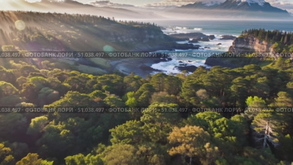 Aerial view of summer forest and rocky coast at sunset. Стоковое AI-видео, аниматор Гузель Набиуллина / Фотобанк Лори
