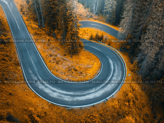 Aerial view of wet curvy road and orange forest in golden autumn. Dolomites, Italy. Top view of winding mountain road, trees, grass in fall. Road through the red woods. Moody landscape with roadway. Стоковое фото, агентство Ingram Publishing / Фотобанк Лори