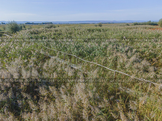 Aerial view on wooden footbridge through the reeds over flood-meadow. Kartal Eco Park, Orlovka village, Reni raion, Odessa oblast, Ukraine, Eastern Europe (2020 год). Стоковое фото, фотограф Некрасов Андрей / Фотобанк Лори