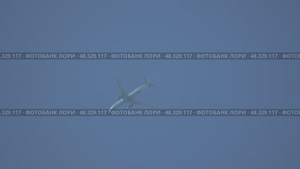 Airplane Flight Sky Travel: High-altitude aircraft flight daytime clear sky, likely commercial. Стоковое видео, видеограф svetograph / Фотобанк Лори
