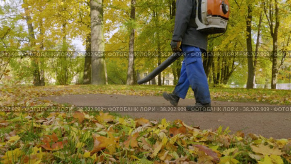 Александровский парк (Царское Село). Дворник убирает листья с пешеходной дорожки. (2021 год). Редакционное видео, видеограф Евгений Романов / Фотобанк Лори
