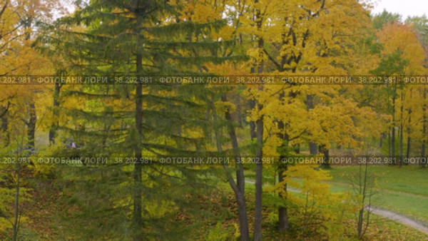 Александровский парк (Царское Село). Вид с павильона Шапель. Alexander Park (Tsarskoye Selo). View from the Chapelle Pavilion. (2021 год). Редакционное видео, видеограф Евгений Романов / Фотобанк Лори