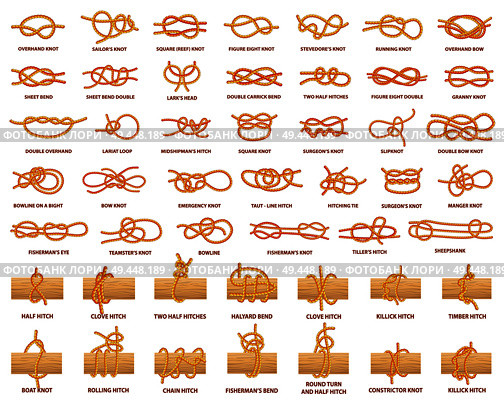 All types of knots demonstrated with strong rope. Strong and complicated knots with names. Rope tied over wooden plank isolated vector illustrations.. All Types of Knots Demonstrated with Strong Rope. Стоковая иллюстрация, агентство Ingram Publishing / Фотобанк Лори