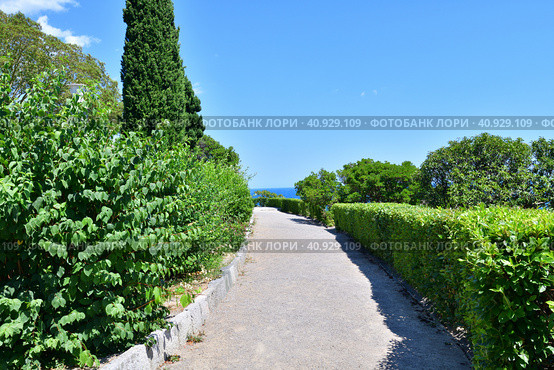 Alley in Vorontsovsky park near the palace in Alupka, Crimea (2019 год). Стоковое фото, фотограф Володина Ольга / Фотобанк Лори