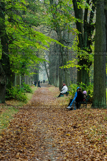Аллея в Павловске (2007 год). Редакционное фото, фотограф Vladimir Pen / Фотобанк Лори