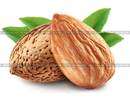 Almonds with leaves isolated on white background. Image with maximum sharpness. Clipping path. Стоковое фото, агентство Ingram Publishing / Фотобанк Лори