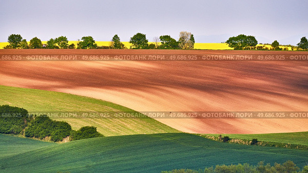 Amazing green and yellow rape spring fields Landscape Panorama. Agriculture Rural scene. Czech Moravia colza canola farmland bloom. Sunny waving hills. Minimalistic nature background. Стоковое фото, агентство Ingram Publishing / Фотобанк Лори