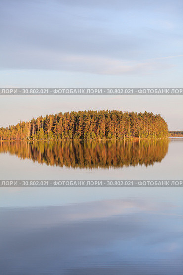 Amazing windless smooth surface of the lake. Forest in light of setting sun and clouds reflection on calm water. Karelia, Russia. Vertical image. Стоковое фото, фотограф Кекяляйнен Андрей / Фотобанк Лори