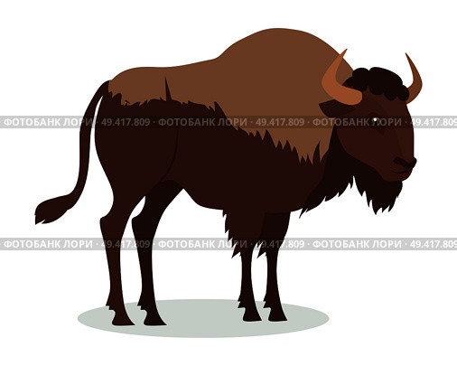 American bison cartoon character. Large bison male flat vector isolated on white. North America fauna. Buffalo icon. Animal illustration for zoo ad, nature concept, children book illustrating. Стоковая иллюстрация, агентство Ingram Publishing / Фотобанк Лори