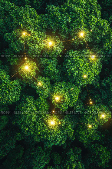 An aerial perspective reveals a dense forest at twilight, with glowing lights illuminating the treetops, creating a magical atmosphere. Стоковое AI-изображение, AI-художник Данила Большаков / Фотобанк Лори