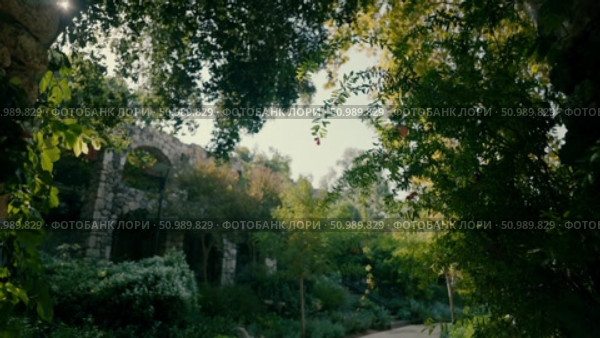 Ancient ruins in the botanical garden. Стоковое видео, видеограф Tatiana Malinsky / Фотобанк Лори
