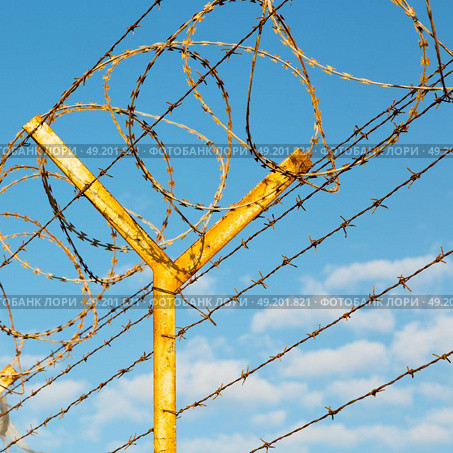 and cloudy sky in oman barbwire in the background . Стоковое фото, агентство Ingram Publishing / Фотобанк Лори