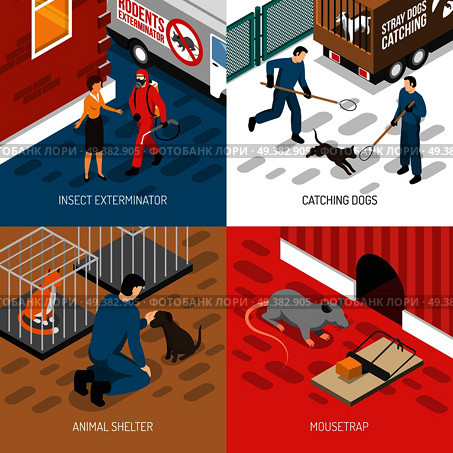 Animal control services 4 isometric icons square concept with stray dog catching and insects extermination vector illustration . Animal Control Isometric Design Concept . Стоковая иллюстрация, агентство Ingram Publishing / Фотобанк Лори