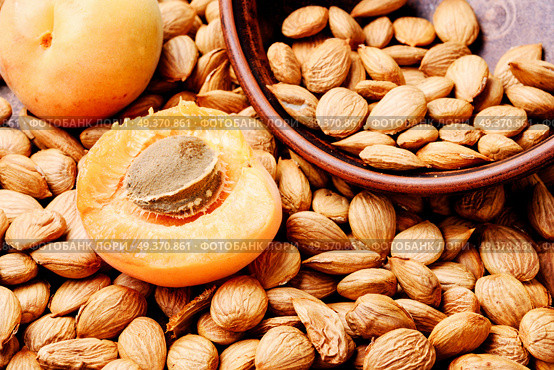 Apricot kernel and ripe apricots on a wooden table. Cleaned kernels apricots. Стоковое фото, агентство Ingram Publishing / Фотобанк Лори