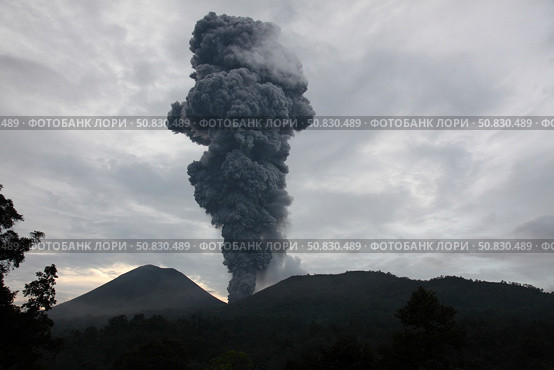Ash cloud rising from Tompaluan crater at Lokon-Empung volcano, Indonesia. Стоковое фото, фотограф Richard Roscoe/Stocktrek Images / ТАСС / Фотобанк Лори