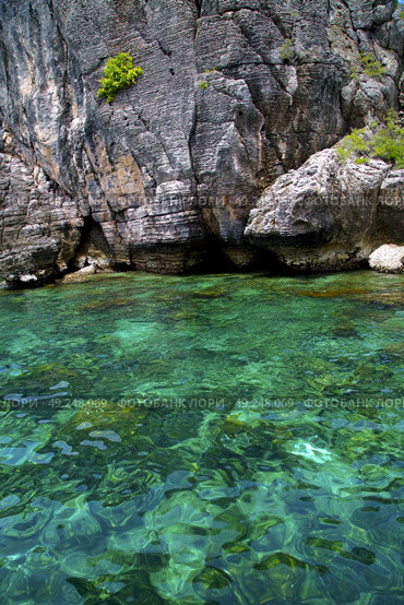 asia in the  kho phangan isles bay   rocks    thailand  and south china green sea . Стоковое фото, агентство Ingram Publishing / Фотобанк Лори