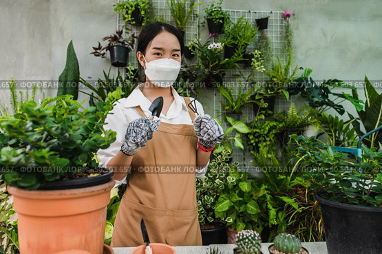 Asian gardener woman wearing face mask and apron stand and showing a shovel and pitchfork, equipment to transplants indoor plants and take care of plants at home, Hobby or small business with houseplant. Стоковое фото, агентство Ingram Publishing / Фотобанк Лори