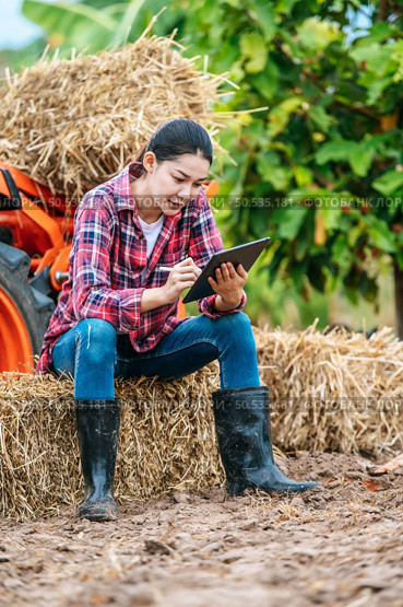 Asian young female farmer sitting on bale of hay with big tractor machine in farmland. Modern technologies in agriculture management and agribusiness concept. Стоковое фото, агентство Ingram Publishing / Фотобанк Лори
