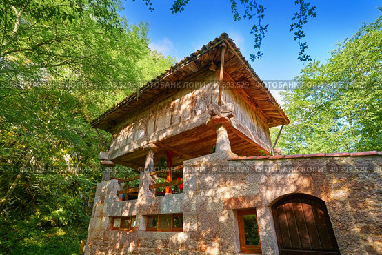 Asturias horreo traditional construction in Picos de Europa of Spain. Стоковое фото, агентство Ingram Publishing / Фотобанк Лори