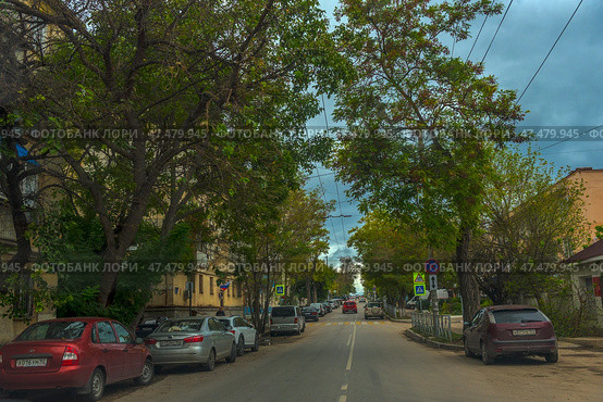 Atmosphere of one of the streets of Sevastopol. The road stretches upwards, to the horizon, beyond which the sea can be seen. On both sides of the street grow trees with green and yellowed leaves, creating a natural arch above the road. Along the edges of the road are parked cars, among which you can see cars and SUVs. Along the sidewalks are installed metal fences, and on the corner of the building with a red roof you can see a sign.Old residential buildings with balconies and air conditioners are noticeable, which emphasizes the local urban style. Road signs warn of restrictions, and a pedestrian crossing leads to the opposite side of the street. In the distance on the horizon you can feel the sea air, typical of a seaside city. (2021 год). Редакционное фото, фотограф Анна Кривицкая / Фотобанк Лори