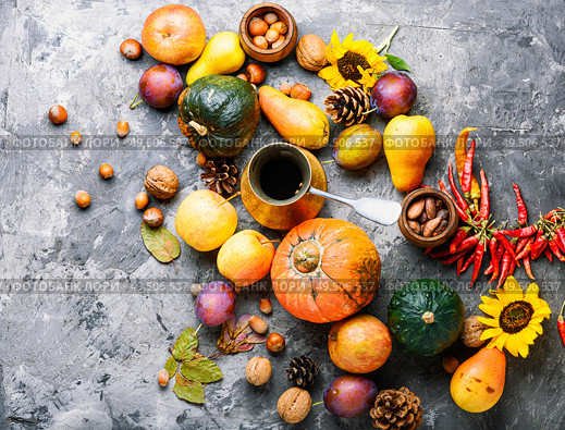 Autumn composing with pumpkin, fruit and fall leaves.Autumn still life. Autumn fall still life. Стоковое фото, агентство Ingram Publishing / Фотобанк Лори
