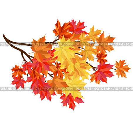 Autumn  Frame With Blowing Maple Leaves  Over White Background. Elegant Design. Vector Illustration. Стоковая иллюстрация, агентство Ingram Publishing / Фотобанк Лори