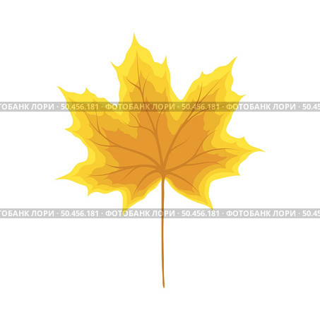 Autumn maple leaf. Leaf fall. Vector illustration. Стоковая иллюстрация, агентство Ingram Publishing / Фотобанк Лори