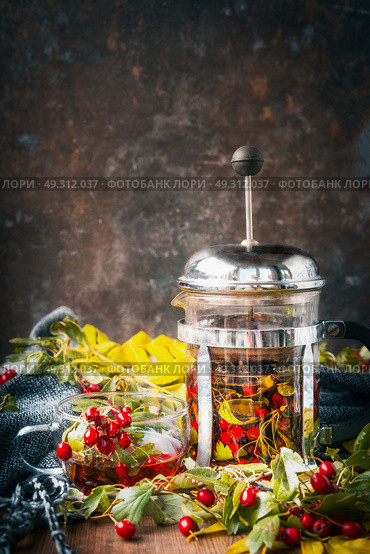 Autumn tea with hawthorn berries on rustic background with warm scarf , front view. Стоковое фото, агентство Ingram Publishing / Фотобанк Лори
