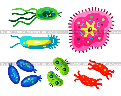 Bacteria micro creatures organisms set. Types of germs and microbes rounded shaped and chained pathogen elements. Viral molecules isolated on vector. Bacteria Micro Creatures Set Vector Illustration. Стоковая иллюстрация, агентство Ingram Publishing / Фотобанк Лори