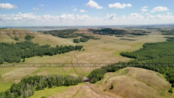 Bannoe Center, Russian Federation - July 27, 2025: Expansive golden grassland landscape under a bright blue sky with fluffy clouds and distant mountains, showcasing the beauty of nature and tranquility. Редакционное видео, видеограф Ирина Ручушкина / Фотобанк Лори