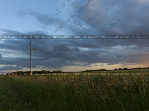 Barley in a field against cloudy sky, Lorette, Manitoba, Canada. Стоковое фото, агентство Ingram Publishing / Фотобанк Лори