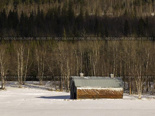 Barn in snow covered field, Highway 16, Yellowhead Highway, British Columbia, Canada. Стоковое фото, агентство Ingram Publishing / Фотобанк Лори
