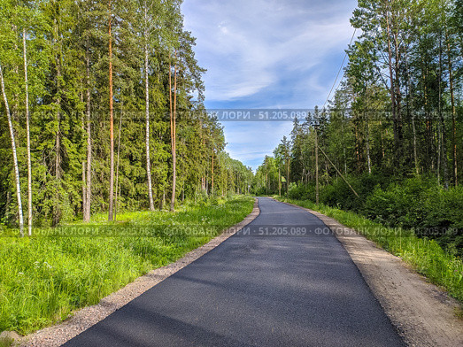 Beautiful view of forest road in sunny day. Стоковое фото, фотограф Denis Vostrikov / Фотобанк Лори