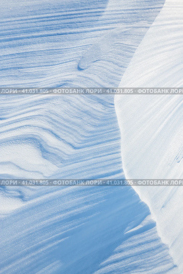 Beautiful winter background with snowy ground. Natural snow texture. Wind sculpted patterns on snow surface. Стоковое фото, фотограф Андрей Степанов / Фотобанк Лори