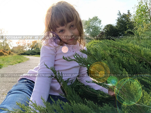 Beautiful young girl sitting next to a coniferous plant. Undersized thuja in the park. The mysterious look of a child. Sun and sun flare. White and pink blouse and blue jeans. Casual fashion clothes. Стоковое фото, фотограф Юлия Петровская / Фотобанк Лори