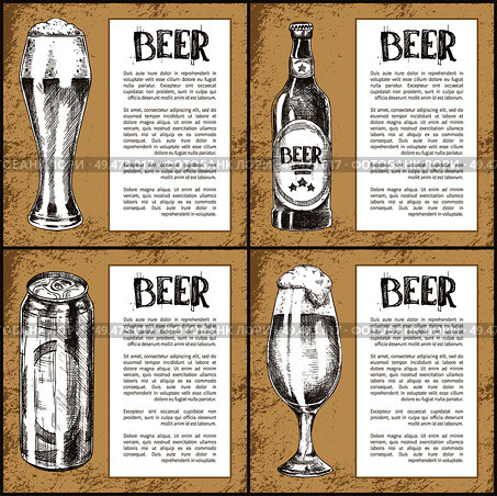 Beer bottle and metal can, pilsner and tulip glass with foam vintage hand drawn vector illustration. Sketch style poster with text for brew house.. Beer Glass, Bottle, Can and Mug Vintage Poster. Стоковая иллюстрация, агентство Ingram Publishing / Фотобанк Лори