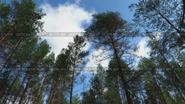 Бегущие по ветру облака. Стоковое видео, видеограф Сергей  Шабанов / Фотобанк Лори