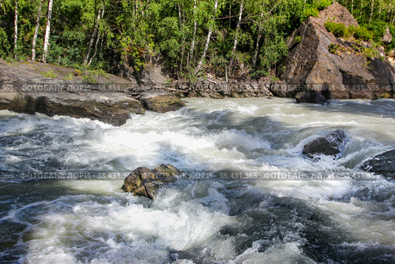 Behemoth — the rapid on the mountain the Chuya river in the Altai Republic near the mouth of the river Agulak. Nature Of Altai. The boiling water of a mountain river. Бегемот — стремнина на горной реке Чуя в Республике Алтай недалеко от устья реки Агулак. Природа Алтая. Кипящая вода горной реки. Стоковое фото, фотограф Мария Кошелева / Фотобанк Лори
