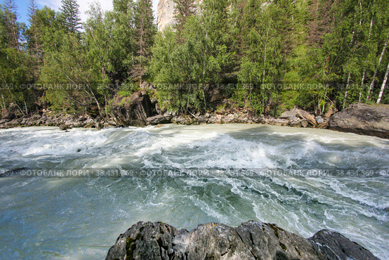 Behemoth — the rapid on the mountain the Chuya river in the Altai Republic near the mouth of the river Agulak. Nature Of Altai. The boiling water of a mountain river. Бегемот — стремнина на горной реке Чуя в Республике Алтай недалеко от устья реки Агулак. Природа Алтая. Кипящая вода горной реки. Стоковое фото, фотограф Мария Кошелева / Фотобанк Лори