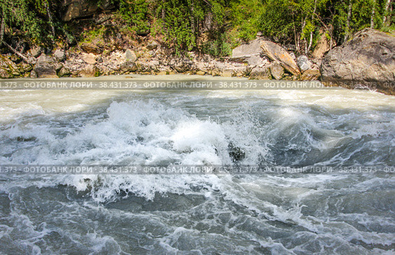 Behemoth — the rapid on the mountain the Chuya river in the Altai Republic near the mouth of the river Agulak. Nature Of Altai. The boiling water of a mountain river. Бегемот — стремнина на горной реке Чуя в Республике Алтай недалеко от устья реки Агулак. Природа Алтая. Кипящая вода горной реки. Стоковое фото, фотограф Мария Кошелева / Фотобанк Лори
