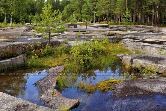 Беломорские петроглифы. Залавруга. Карелия. (2023 год). Стоковое фото, фотограф Роман Рожков / Фотобанк Лори