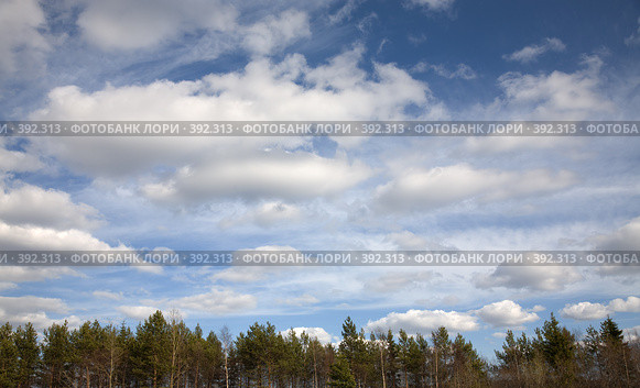 Белые облака плывущие над лесом. Стоковое фото, фотограф pzAxe / Фотобанк Лори