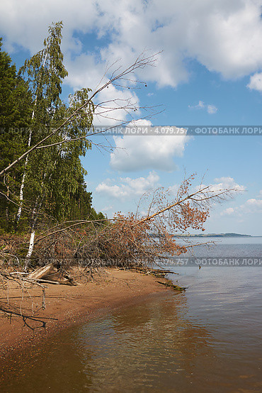 Берег реки. Стоковое фото, фотограф Павел Спирин / Фотобанк Лори